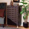 Baxton Studio Ernest Modern and Contemporary Dark Brown Finished Wood 2-Door Shoe Storage Cabinet 178-11027-Zoro - alternate 5